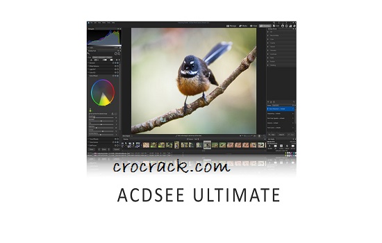 ACDSee Photo Studio Ultimate Crack (1)