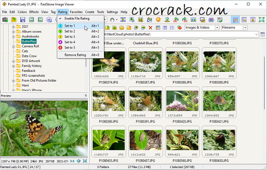 FastStone Image Viewer Crack (3)